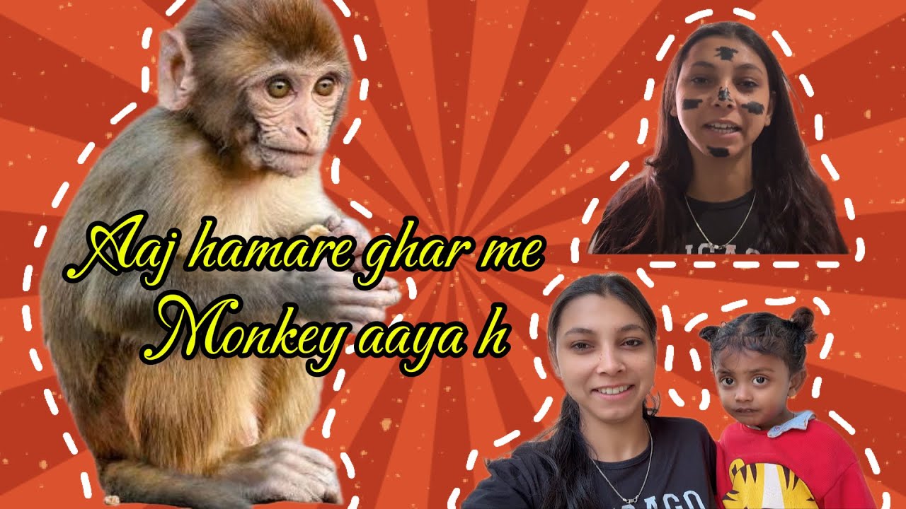 Aaj ajanak hua monkey ka hmala 🙈 | Daily vlogs ,  fuggyinsan ,#vlogs 