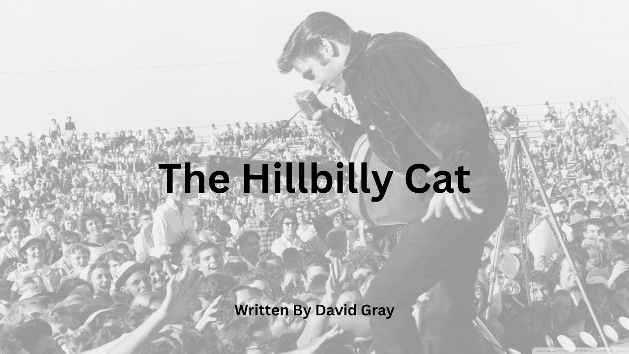 The Hillbilly Cat