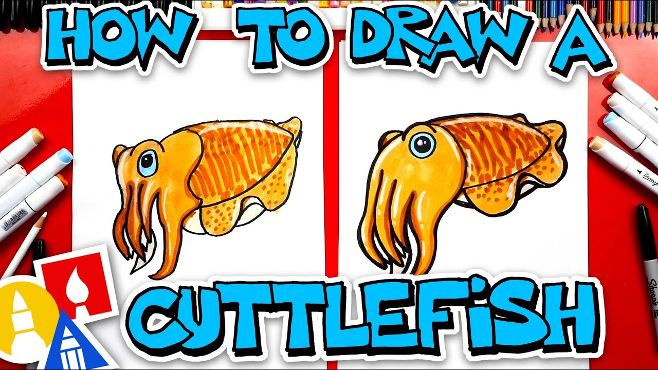 How To Draw A Cuttlefish