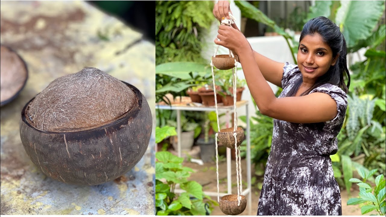 DIY coconut shell hanging pot