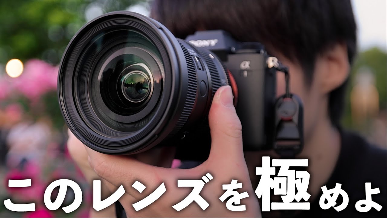 Как использовать стандартный зум-объектив: Sigma 24-70mm F2.8 DG DN II | Искусство