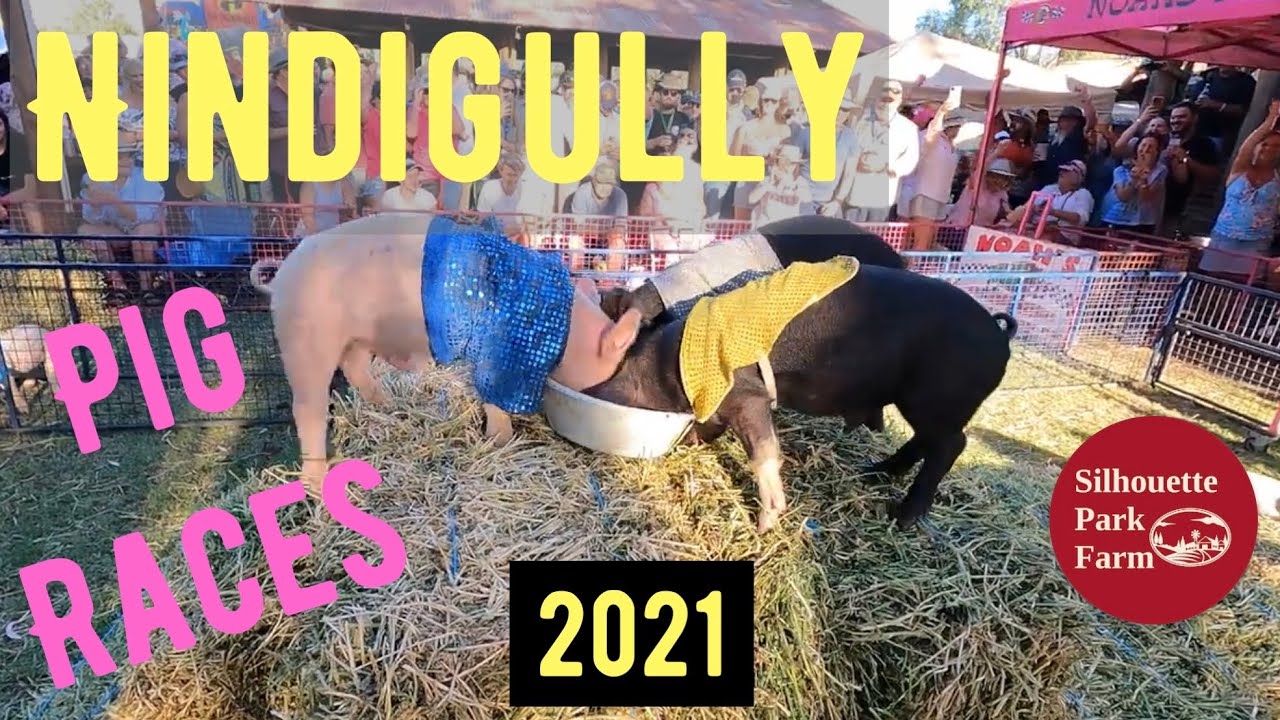 Nindigully Pig Races 2021