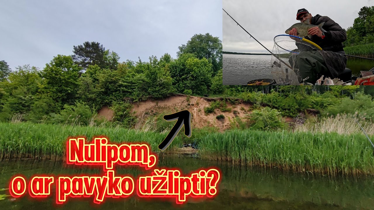Klajonės su feeder'iais prie Kauno marių, Rumšiškės 2025.05.24