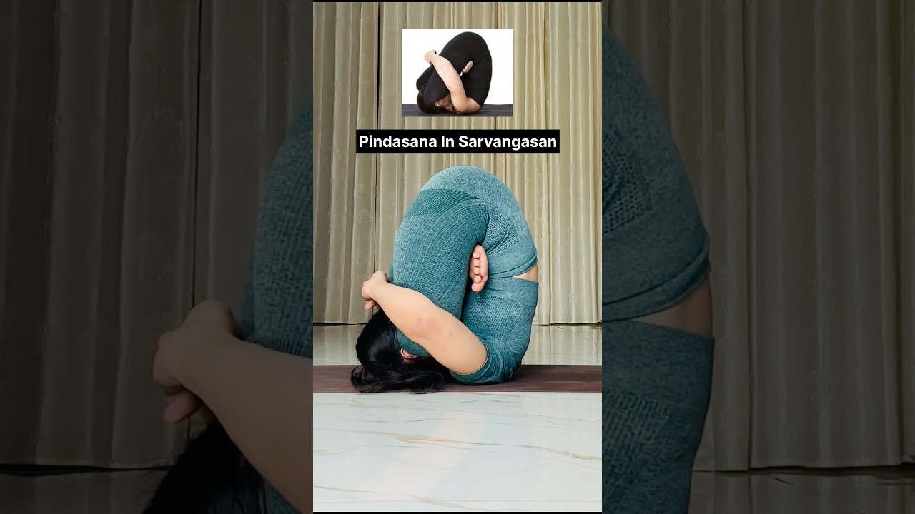 Fold Like a Pro 😱| Pindasana in Shoulder Stand #shorts #yogachallenge #ytshorts