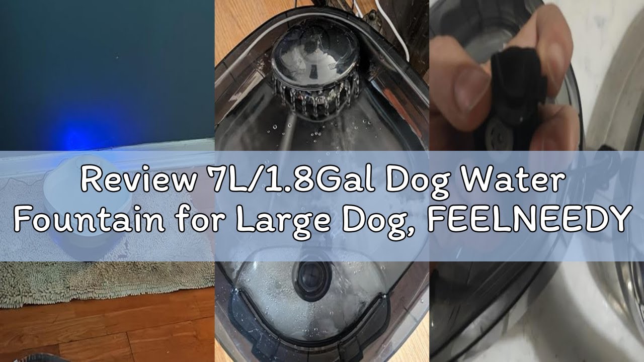 Review 7L/1.8Gal Dog Water Fountain for Large Dog, FEELNEEDY Dog Water Bowl Dispenser Pet Water Foun