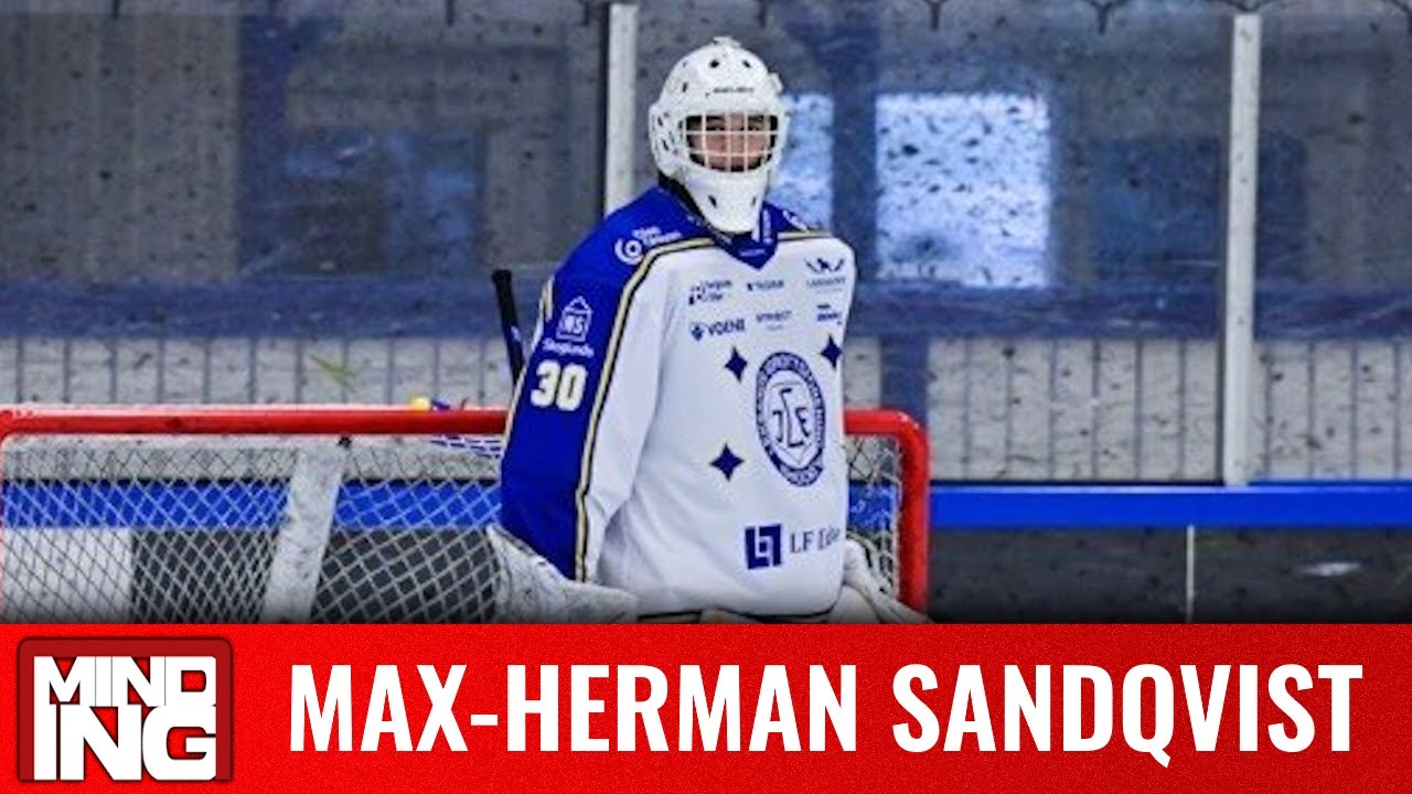 Max-Herman Sandqvist | 2026 NHL Draft | vs Djurgardens Dec. 12, 2025