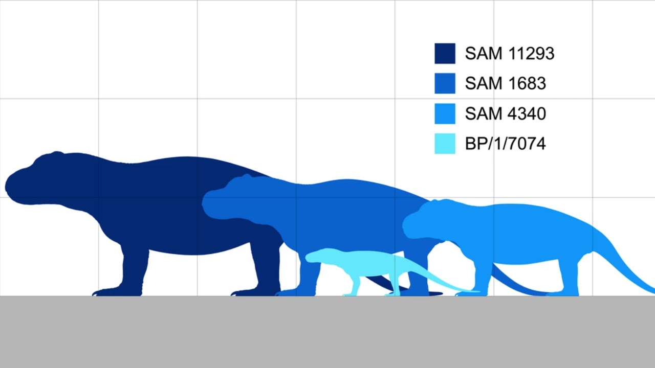 Paleopedias: Anteosaurus.