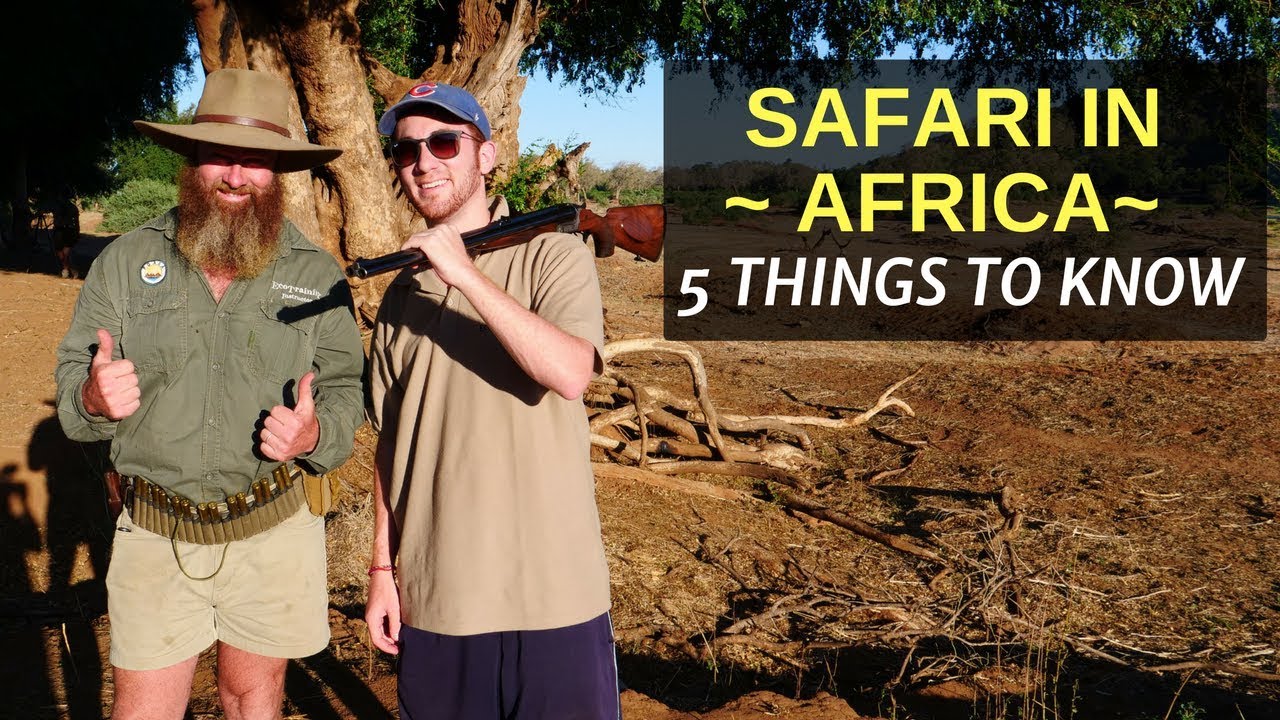 5 Things to Know Before Booking a SAFARI in AFRICA