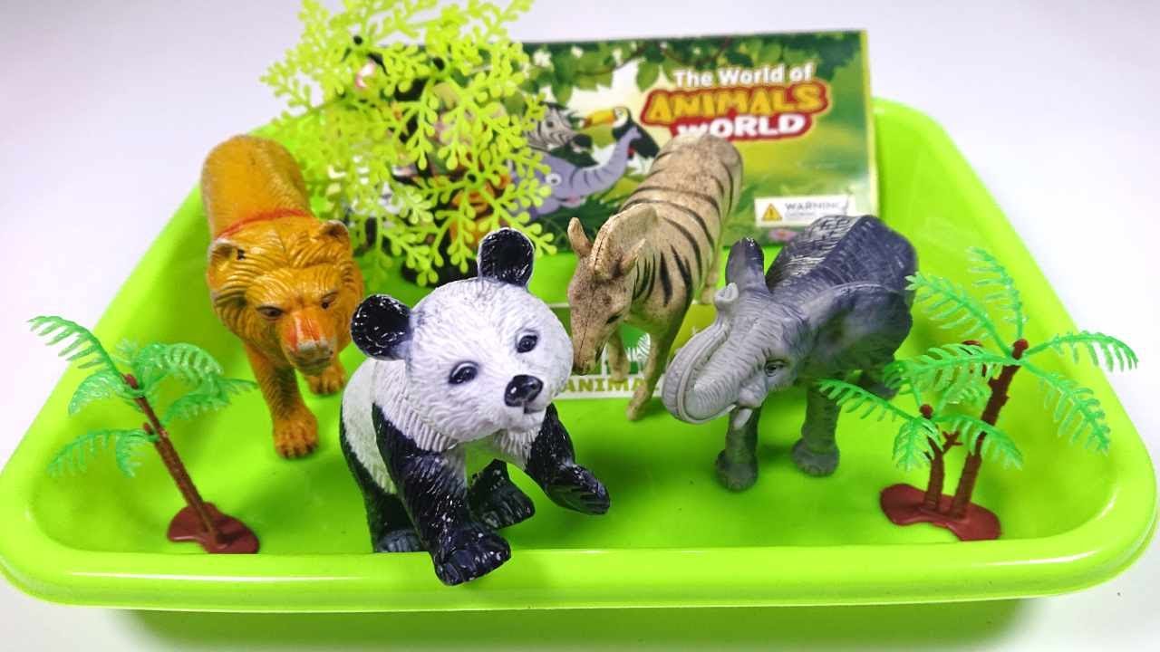 Panda Elephant Giraffe Tiger Lion Rhinoceros Animal Toys, #ASMR # panda #animals