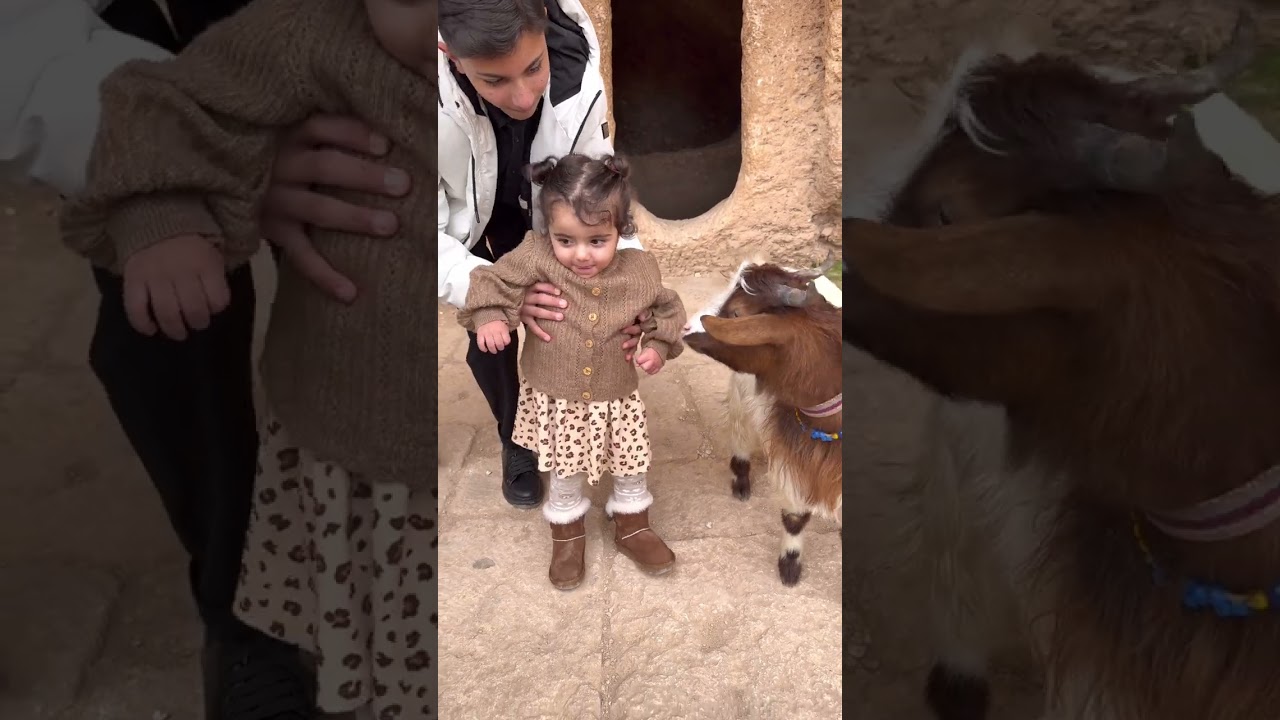 من تركيا ولاية ماردين  المنطقة الاثرية ( داري )
