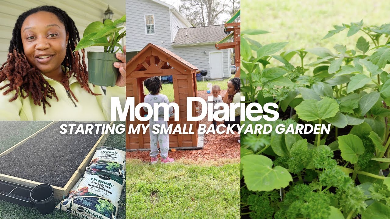 Starting a small backyard garden as a stay at home mom!