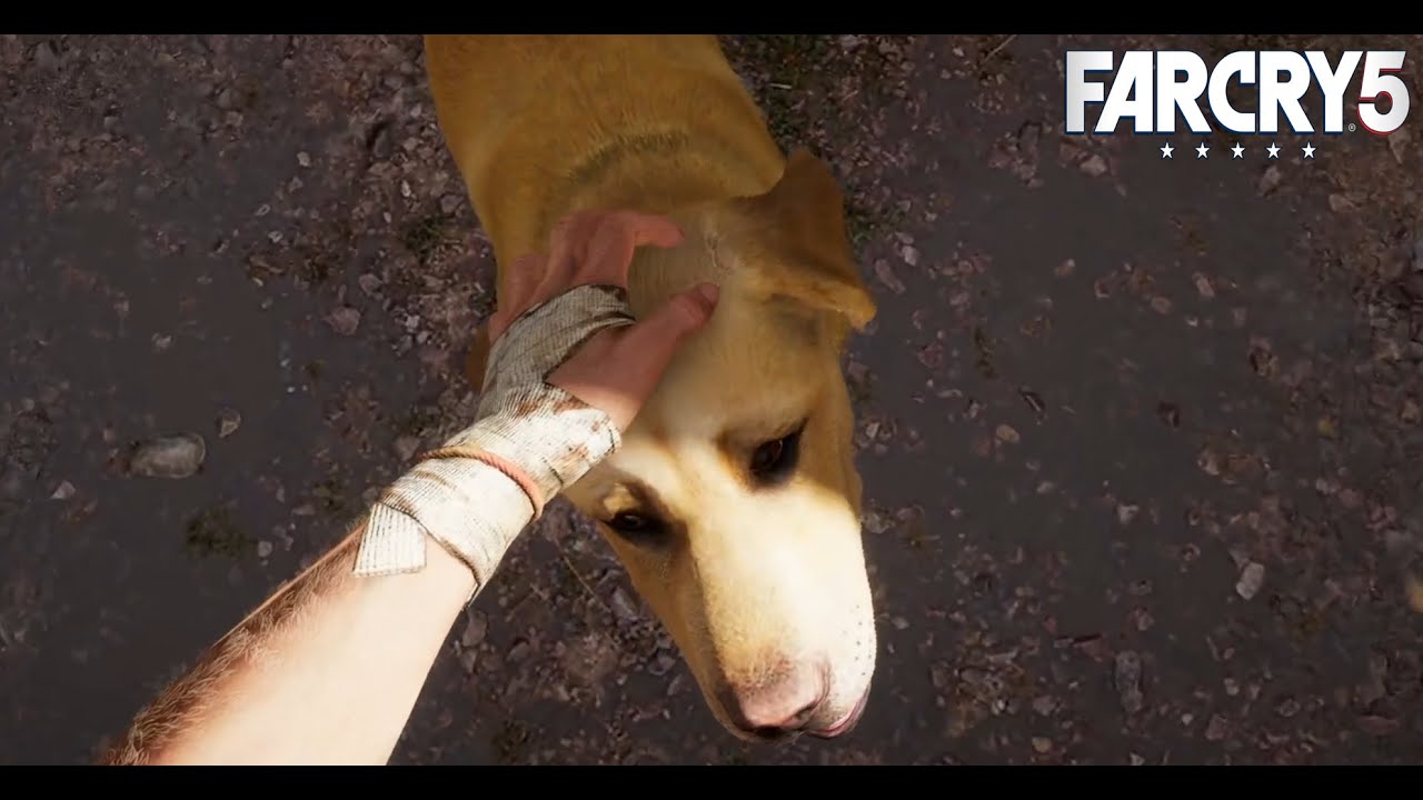 Far Cry 5 ⛪ #14 Doggo streicheln ♥️