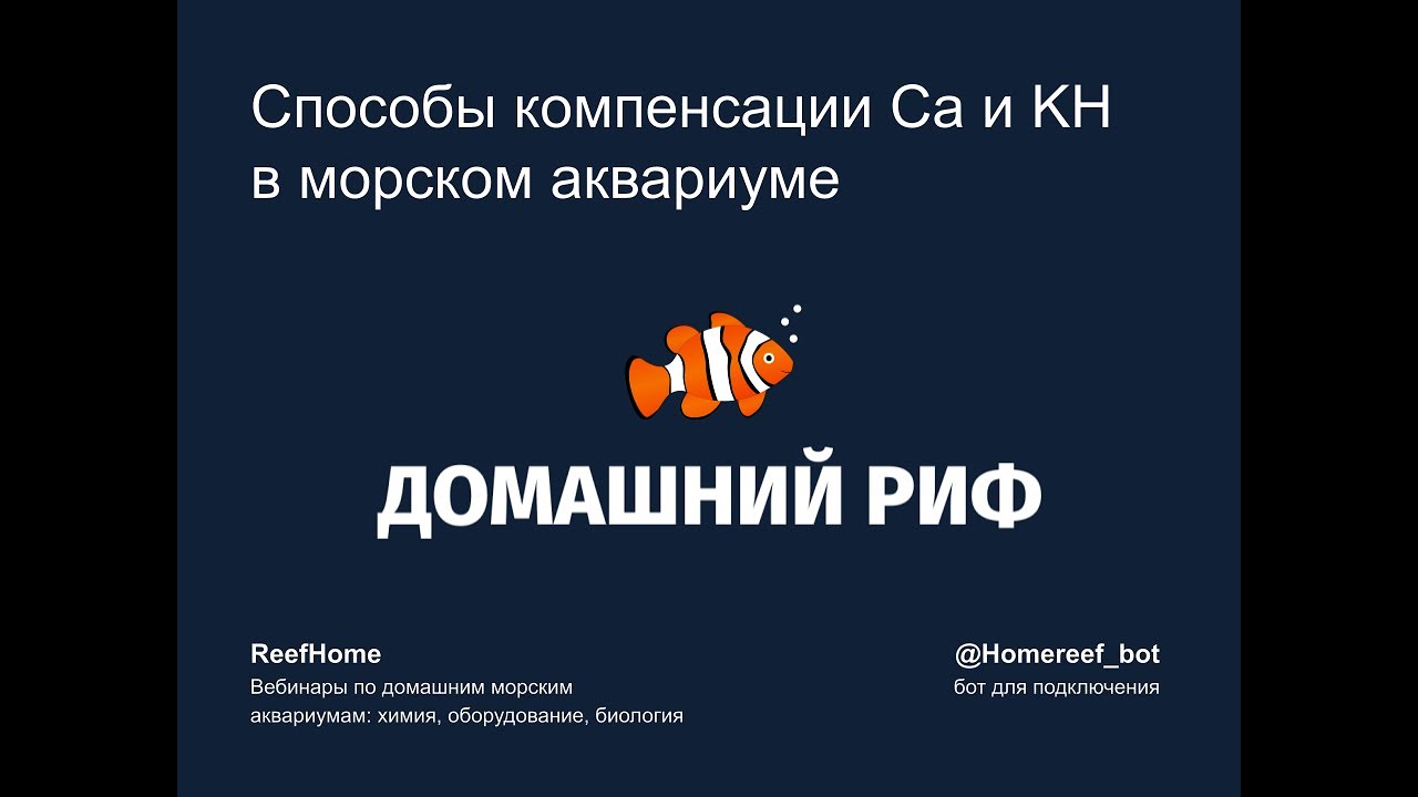 Способы компенсации кальция и KН в морском аквариуме: плюсы и минусы