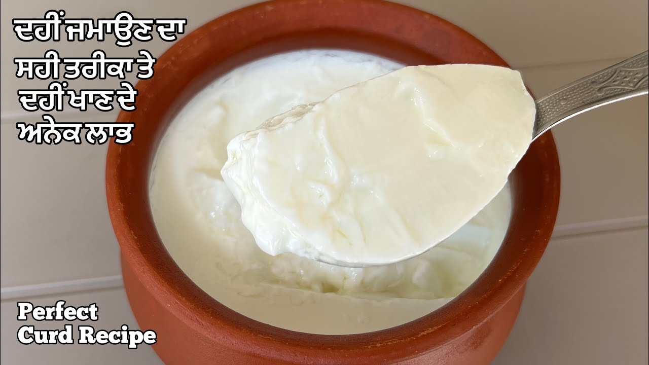 ਦਹੀ ਜਮਾਉਣ ਦਾ ਸਭ ਤੋਂ ਸਹੀ ਤਰੀਕਾ❤️दही कैसे जमाए | How To Make Homemade Dahi | Perfect Dahi Recipe