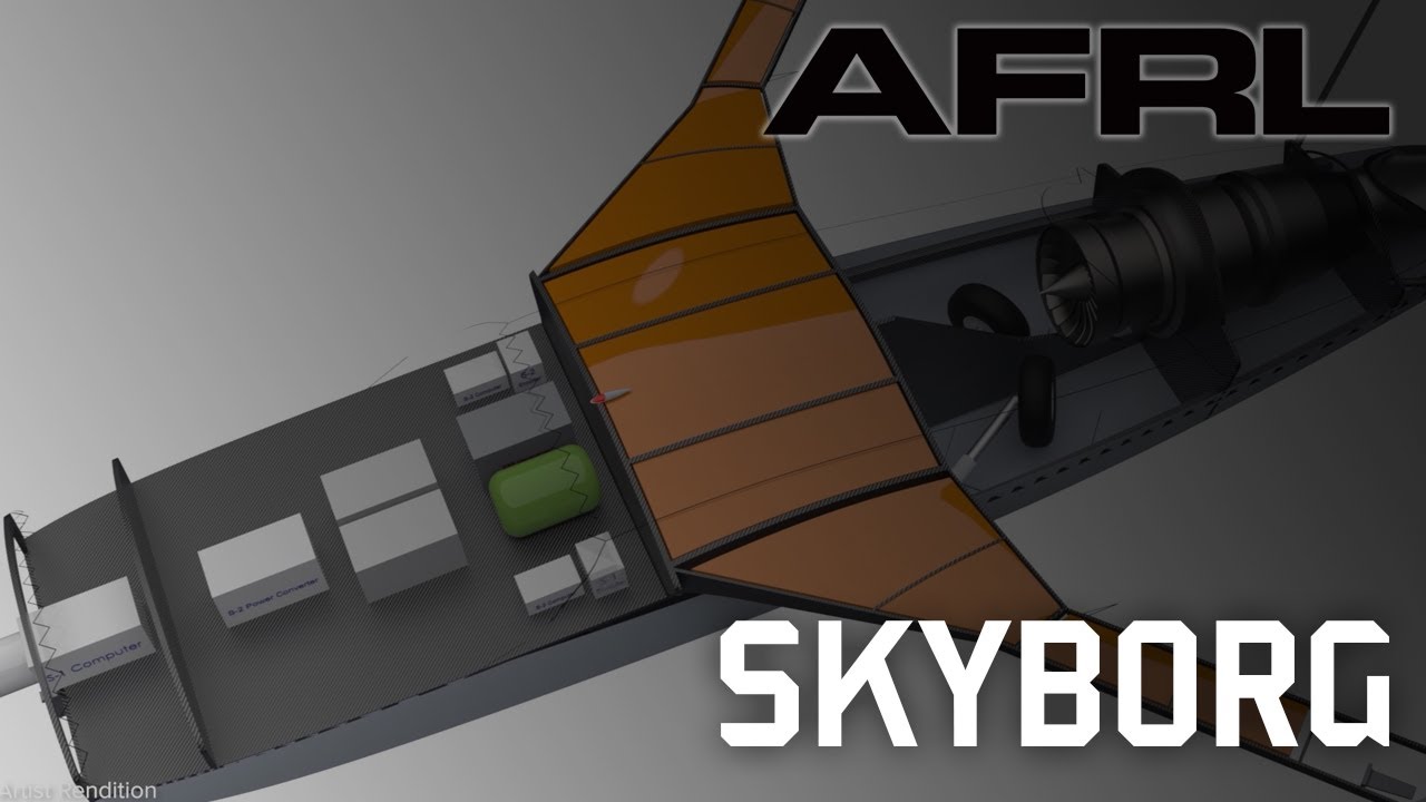 Skyborg