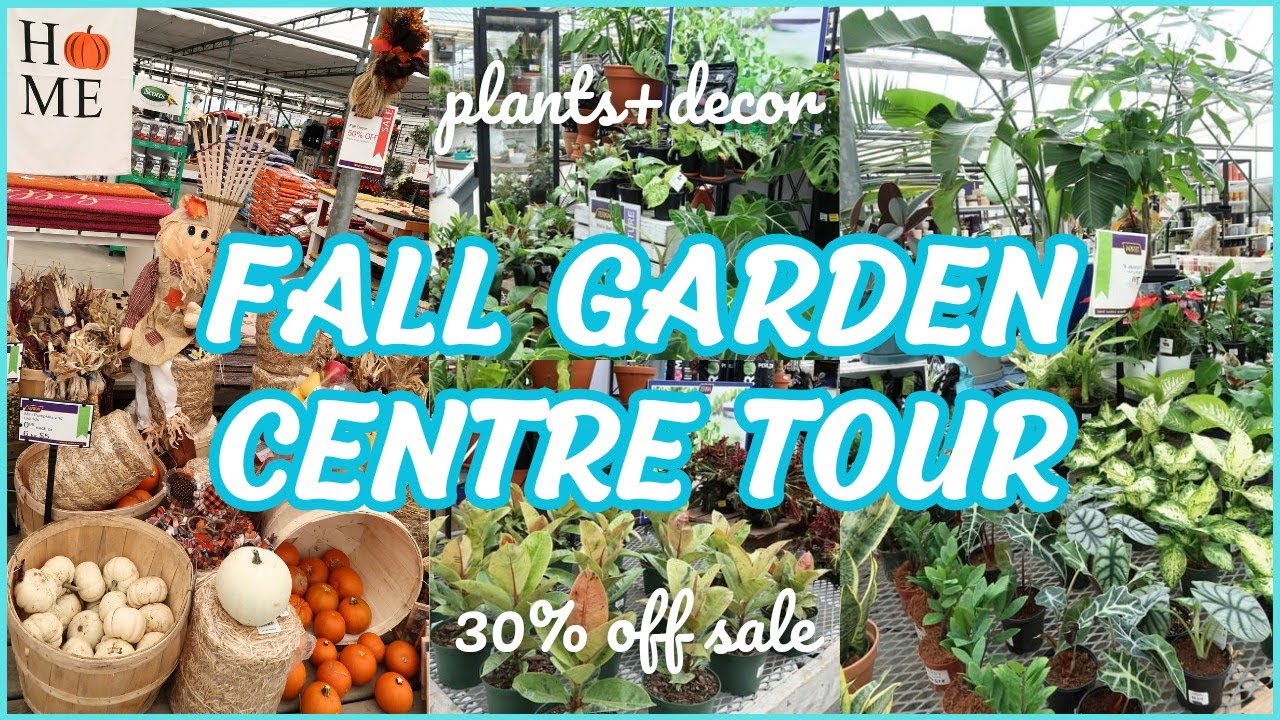TERRA Garden Centre Tour + plant shopping with me