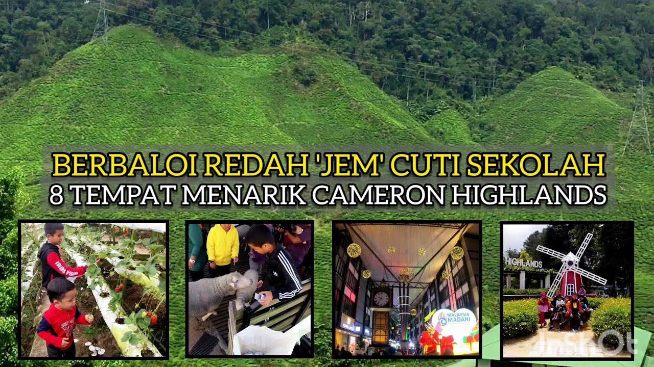 8 TEMPAT MENARIK CAMERON HIGHLANDS | BERBALOI REDAH 'JEM' CUTI SEKOLAH | JALAN-JALAN CAMERON HGLANDS