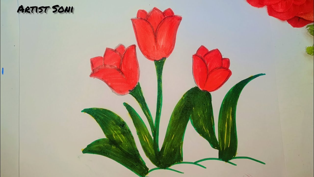 Tulip Flower Drawing 🎨|Colour 😍 Drawing| Tulip Flower Drawing Step By Step 