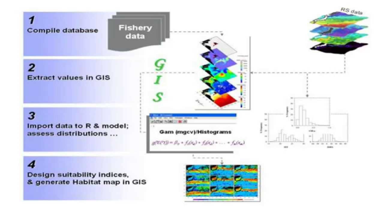 Material 2.2 Ecological Modeling by Dr. Aletta Yniguez