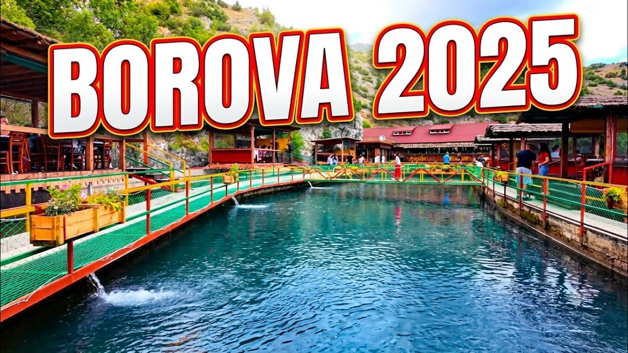 Borova 2025.