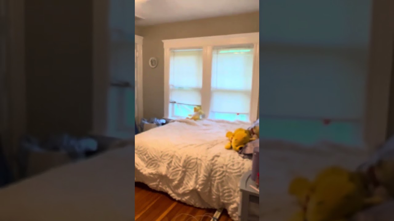 3 Geary Dr.  unit 2