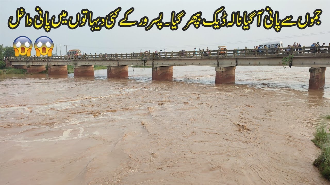 Flood in Nala Daik Pasrur Sialkot | Flood From Jammu | Sialkot Plus