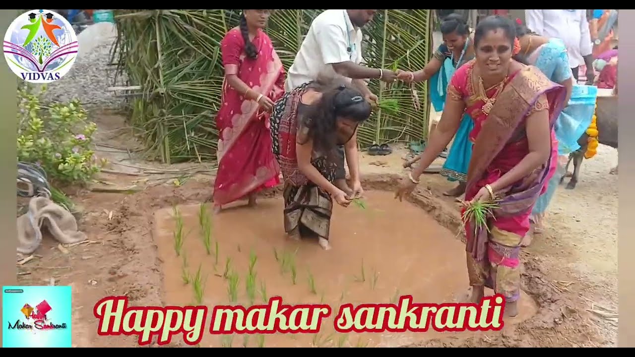 Vidvas school  Sankranthi sambaralu  | @VDSactivities 