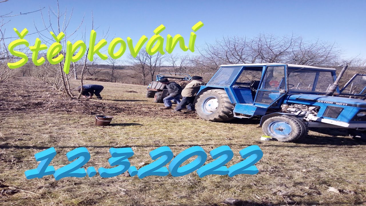 💪🌳 štěpkování větví z japonských topolů 🌳 💪 12.3. 2022 /w andýsek