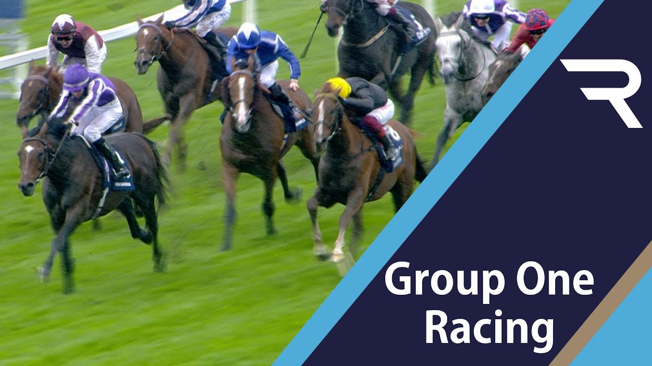2019 Qipco British Champions Long Distance Cup - Racing TV