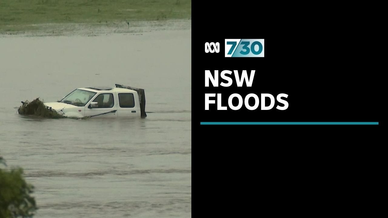 Floods leave farmers devastated on NSW Mid-North Coast | 7.30
