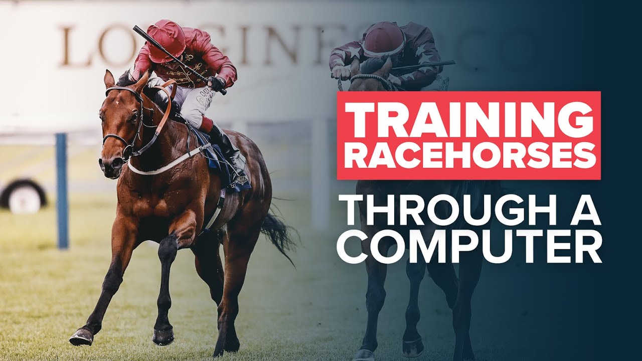 EQUINE FITNESS TRACKER: ROYAL ASCOT RACEHORSE TRAINING TECHNOLOGY | Trainer Michael Bell on Arioneo