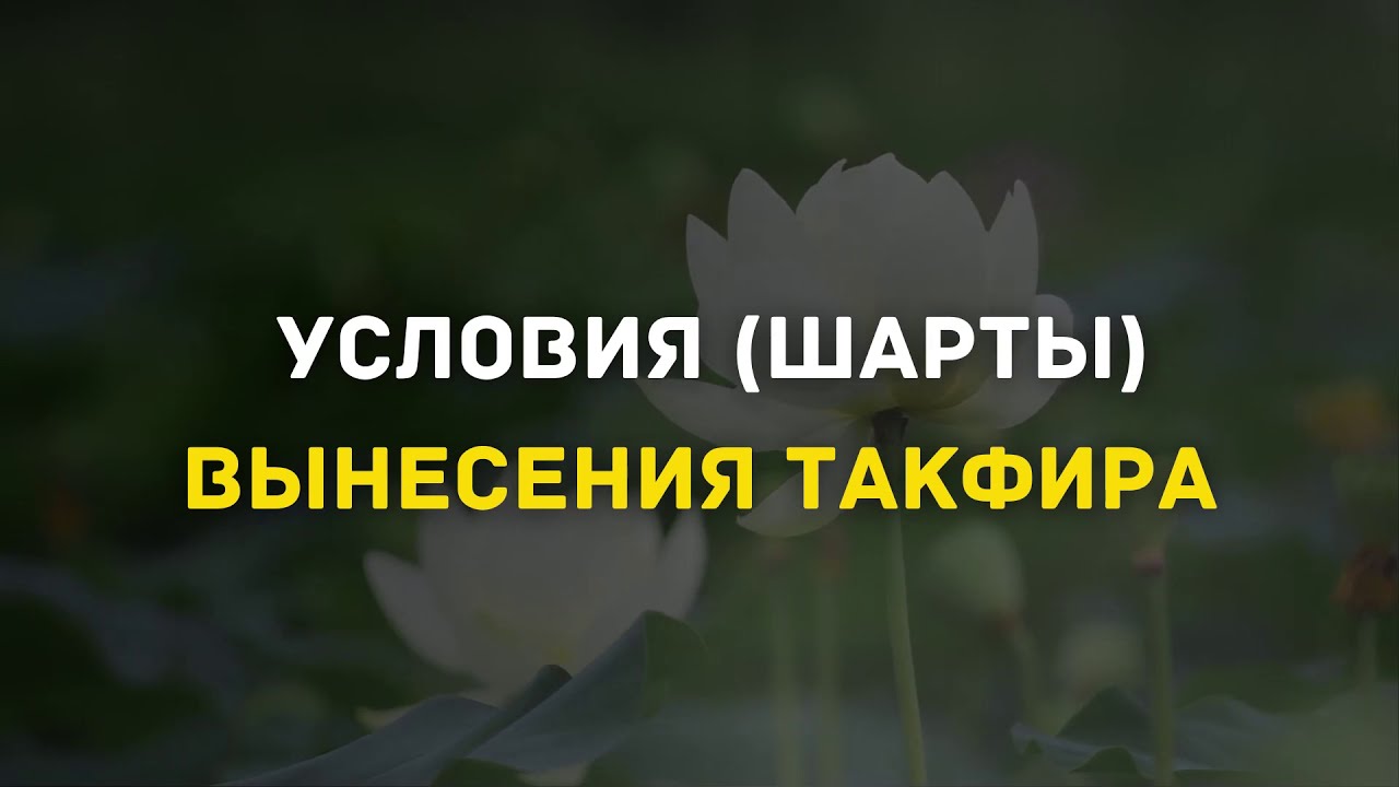 Условия (шарты) вынесения такфира | Шейх Абу Яхья