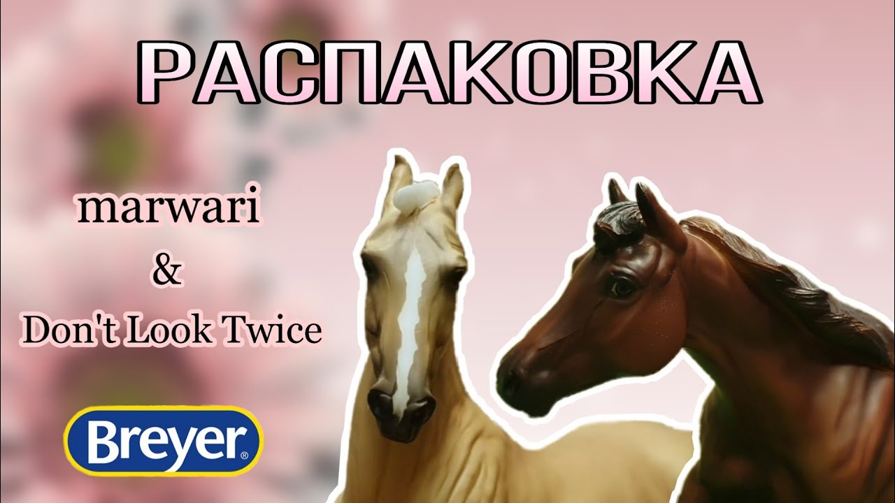 Распаковка посылки с лошадьми Breyer/Breyer MARWARI & DON'T LOOK TWICE