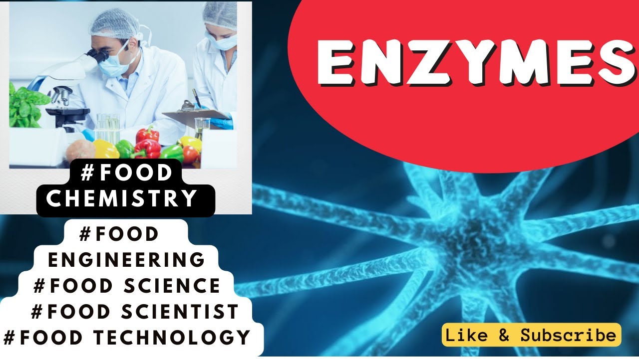 Enzymes | Food Chemistry & Human Nutrition | FoodTech Journey | Food Science
