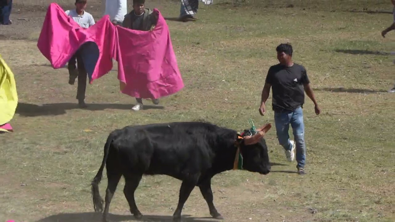 #torospopulares de Sangolqui | Mejores momentos #13.
