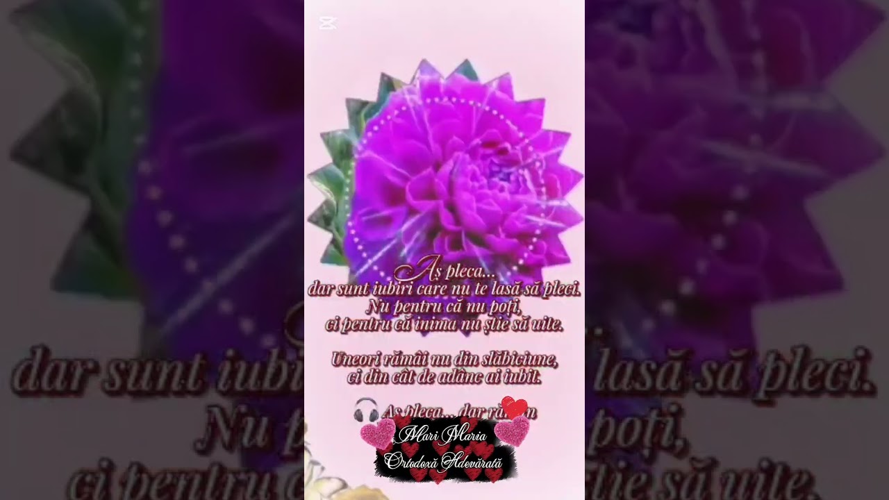 21 februarie 2026
