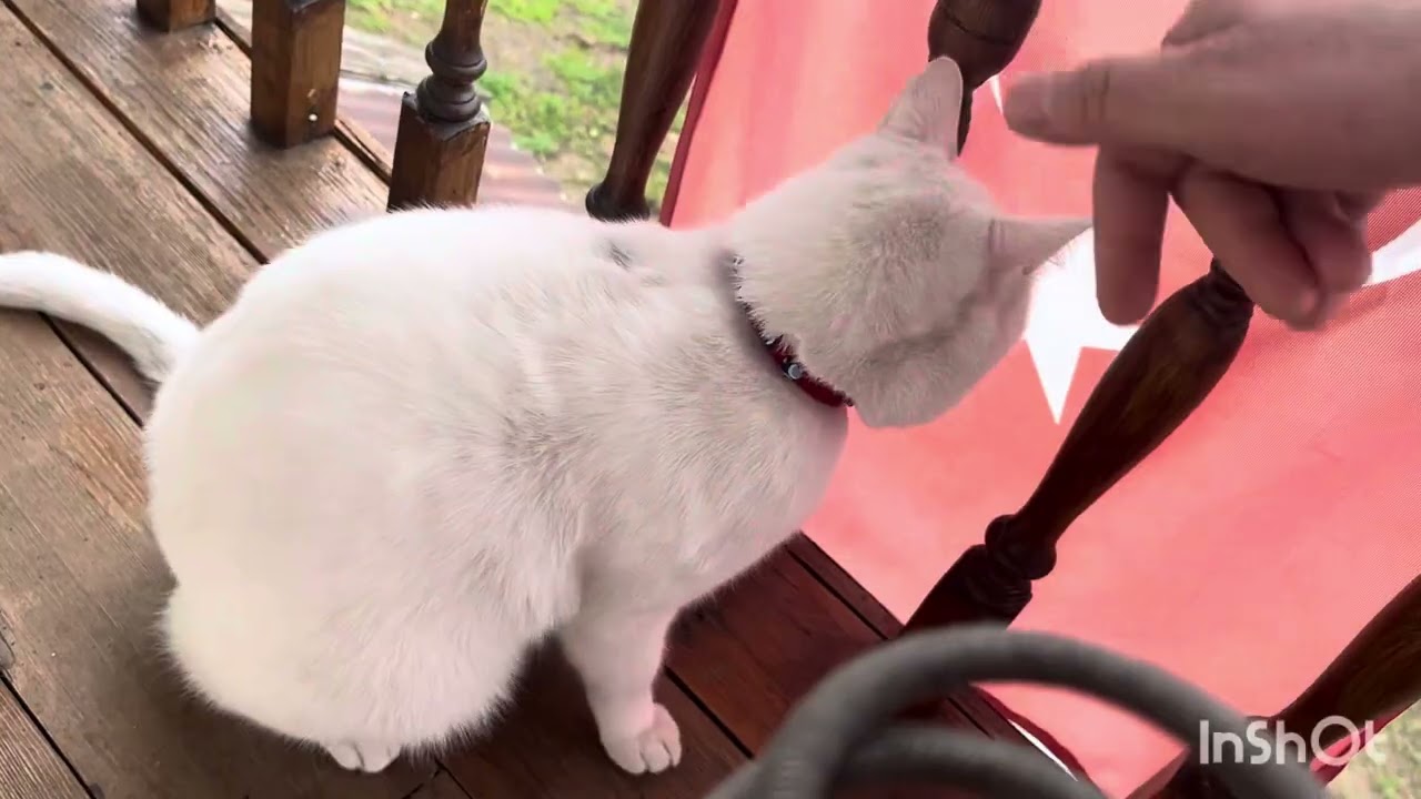 Hayata bir mola demek istiyorum keşke bir düğmesi olsada hayatın mola versem modundayım bu aralar