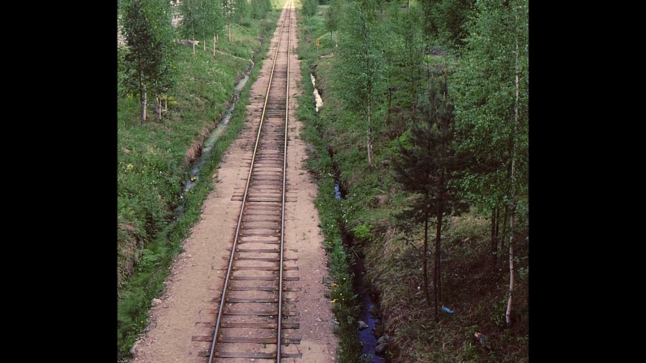 Jukka Kuoppam&auml;ki - Kiskot viev&auml;t etel&auml;&auml;n..🙄🎵