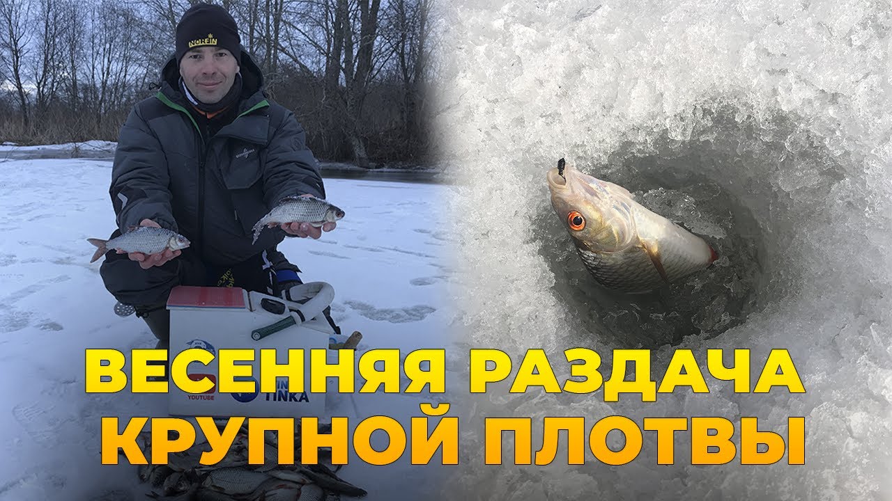 ПЛОТВА ПОШЛА!!! ВЕСНА, ПОСЛЕДНИЙ ЛЁД, ЖОР ПЛОТВЫ!