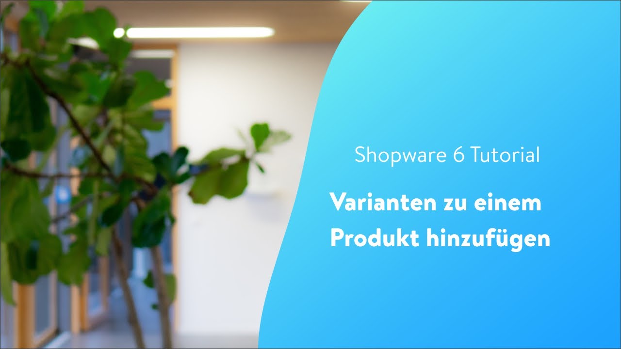 Varianten zu einem Produkt hinzuf&uuml;gen (Shopware 6 Tutorial)
