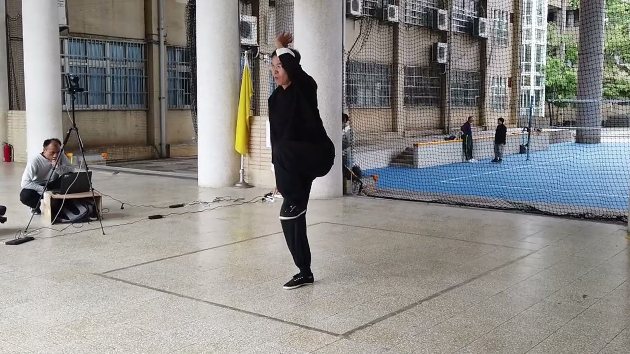趙堡太極拳忽雷架(忽靈架)