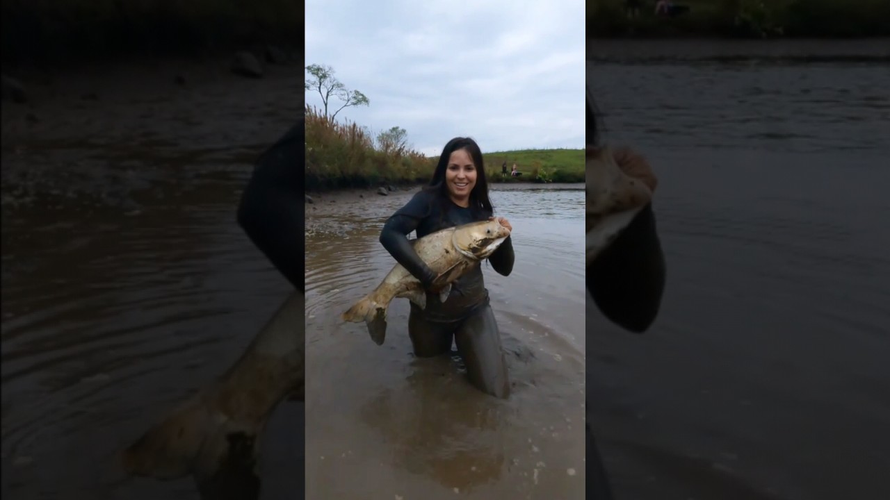 &Eacute; s&oacute; carpa Grande🎣❤️                  #fish #ro&ccedil;a #pesca #youtubeshorts #viral