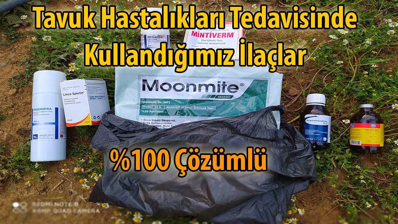 Tavuk hastalıkları tedavileri//Kanlı ishal // hırıltı üst solunum  //parazit tedavisi // iç kuruma
