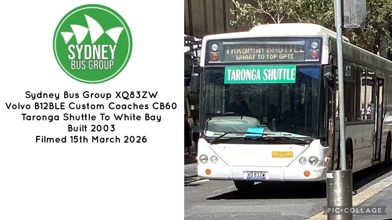Sydney Bus Group (XQ83ZW) Volvo B12BLE Custom Coaches CB60 Taronga Shuttle To White Bay