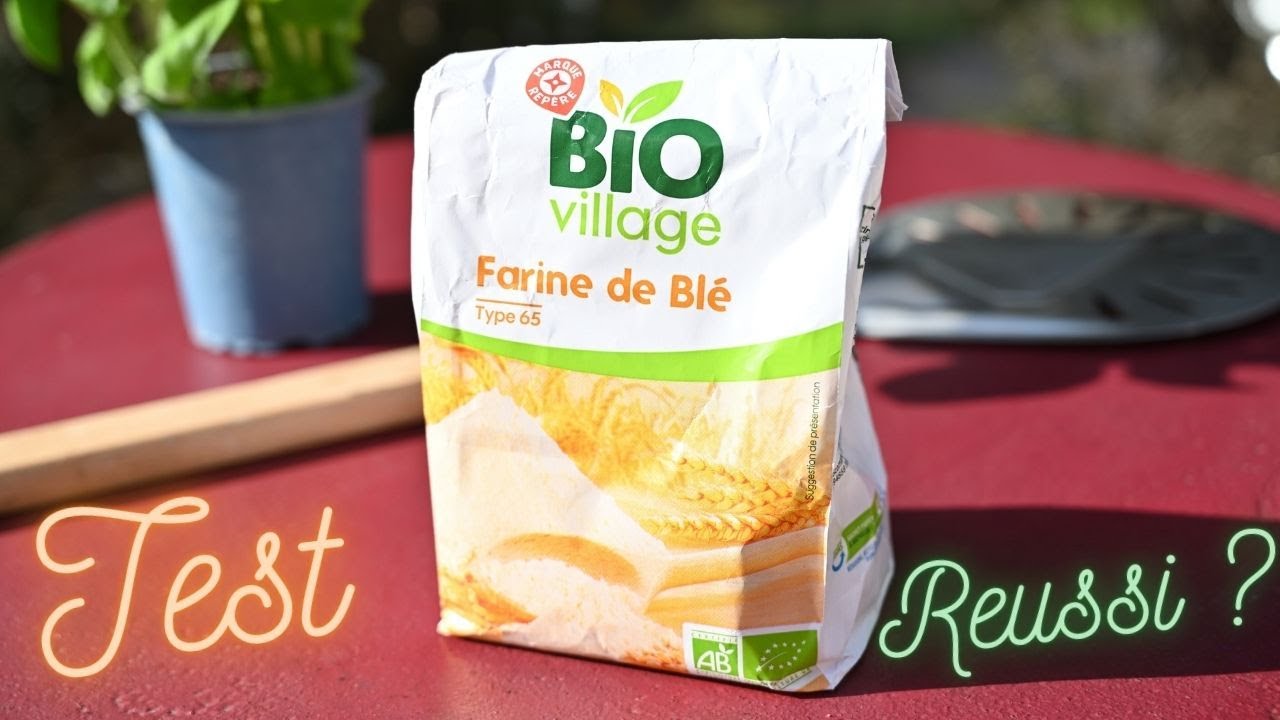 TEST FARINE T65 BIO VILLAGE ET PIZZA NAPOLITAINE | Cuisson au Ooni Koda 16