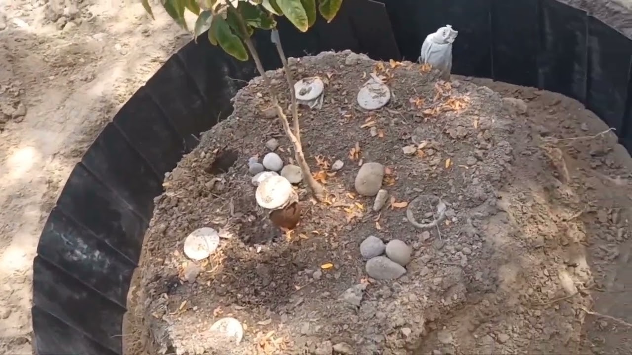 root  Barrier,  #barrera para raices
