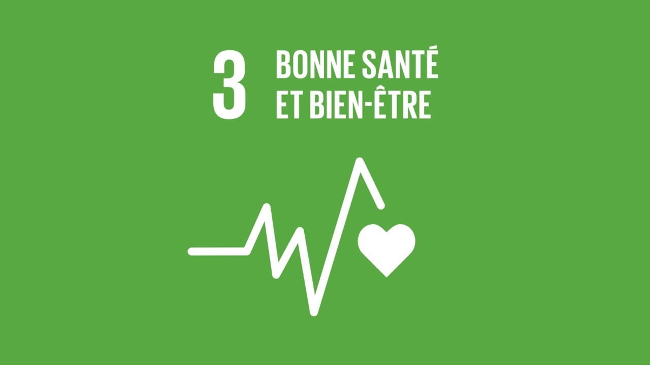 ODS 3: Bonne Santé et Bien-Être