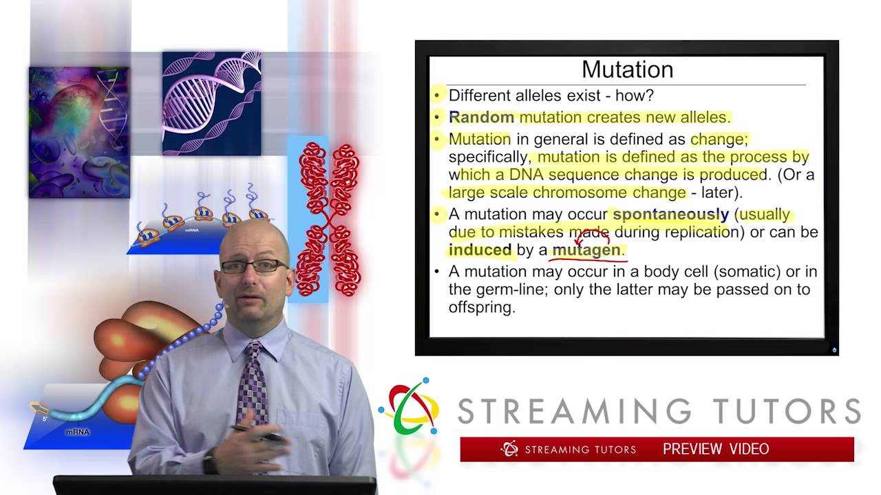 Mutations and the Nature of the Gene   Mutation Types and Causes tutorial