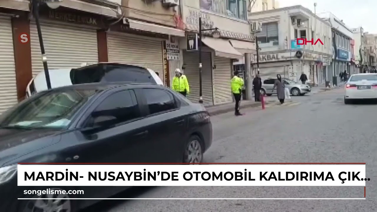 Mardin- Nusaybin’de otomobil kaldırıma çıkıp iş yerinin kepengine yaslandı