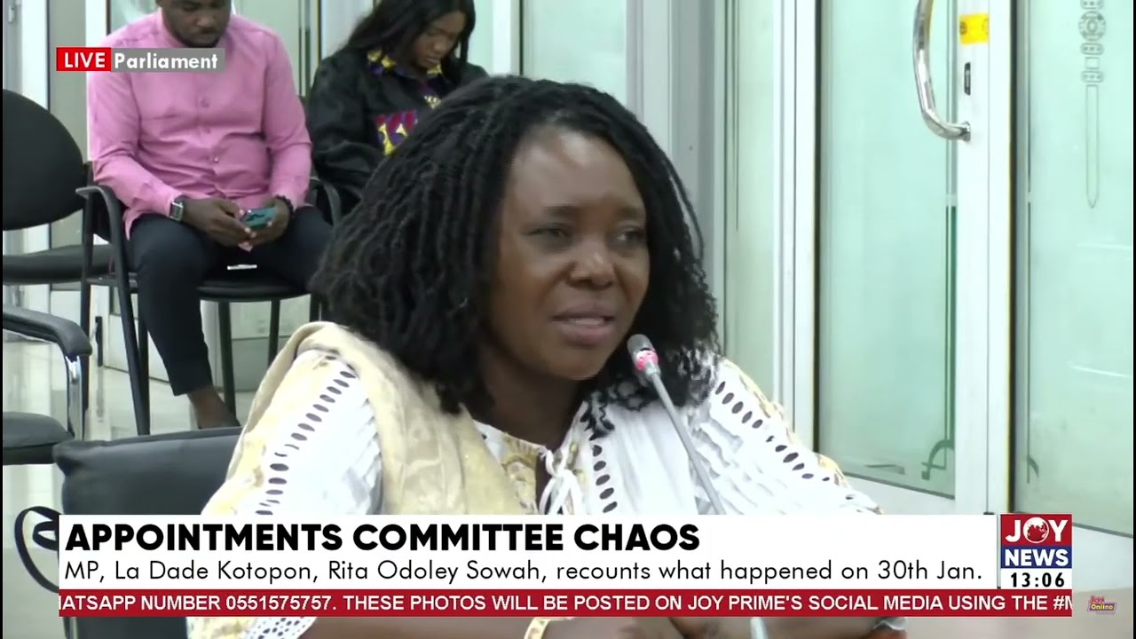 Appointments C'tee Chaos: Rita Odoley Sowah, recounts what happened on 30th January 25